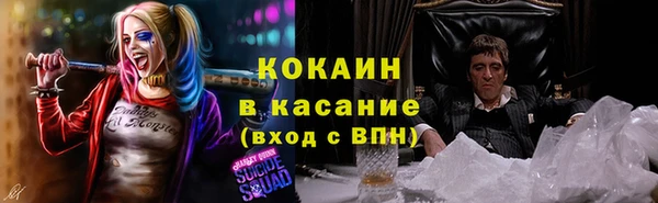 индика Армянск