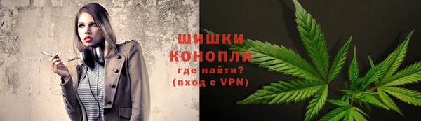 индика Армянск
