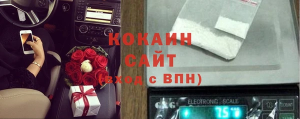 индика Армянск