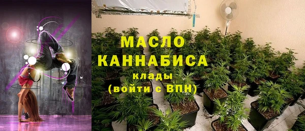 стаф Белая Холуница