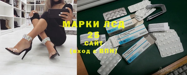индика Армянск