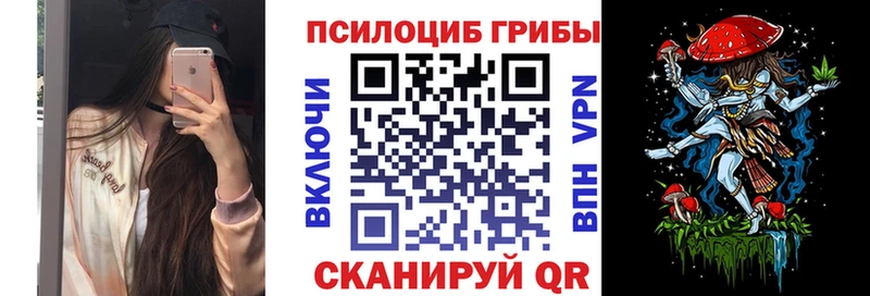 Галлюциногенные грибы GOLDEN TEACHER  Кологрив 